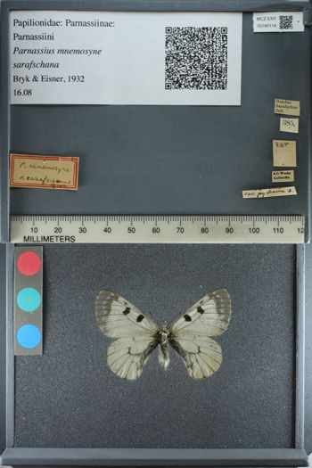Media type: image;   Entomology 180114